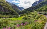 Flamsbana zwischen Flam und Myrdal