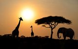 Sonnenuntergang im Nationalpark