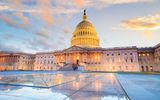 United States Capitol, Washington D.C.
