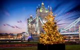 Die Tower Bridge in London bei Nacht mit einem festlich beleuchtetem Weihnachtsbaum davor, Großbritannien