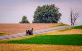 Amish People in Lancaster