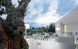 Moderne Terrasse mit eleganten Loungemöbeln, dezentem Licht und Blick auf Palmen, Bäume und umliegende Hügel – klare Linien und stilvolles Ambiente in sanften Farben.