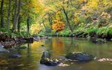 River Teign, Dartmoor Nationalpark