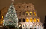 Weihnachtsbaum vor Kolosseum in Rom