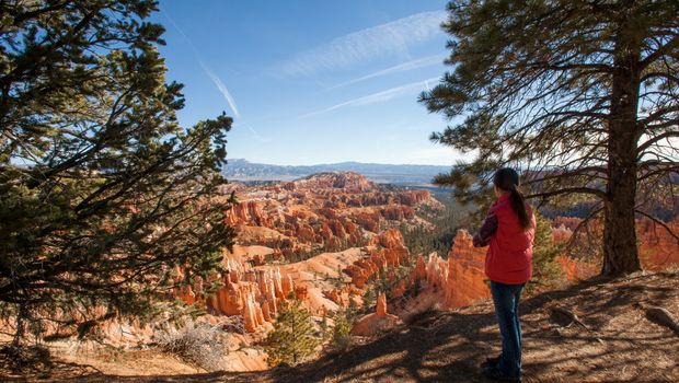 Hoodoo Amphitheater - Bryce Canyon National Park