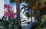 Mediterraner Garten mit Palmen, Kakteen und leuchtend pinker Bougainvillea vor weißem Gebäude – im Hintergrund lädt ein Pool mit Sonnenliegen zum Entspannen ein.