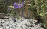 Samaria-Schlucht_6, Kreta