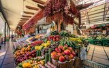 Markthalle Funchal