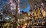 Rockefeller Center Christmas Tree
