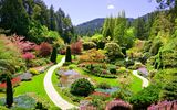 Butchart Gardens