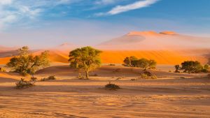 Namib Wüste