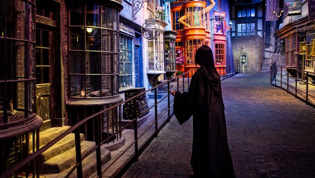 Visitor in Diagon Alley All characters and elements