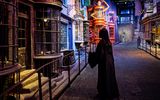 Visitor in Diagon Alley All characters and elements