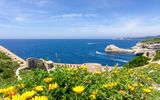 Blick auf Calvi