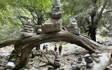 Imbros-Schlucht_5, Kreta