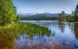 Loch Morlich