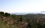 Parthenonas Landschaft