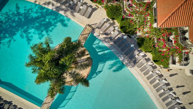 Draufsicht auf einen eleganten Pool mit Palmeninsel und umliegenden Liegestühlen – eine stilvolle Urlaubsoase direkt am Hotel.