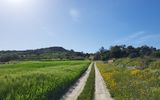 Wanderweg auf Malta