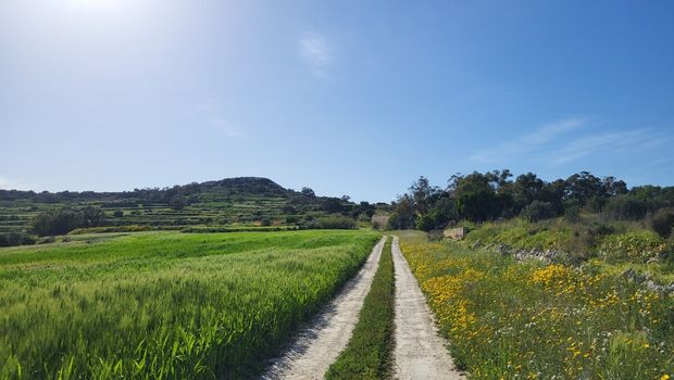 Wanderweg auf Malta