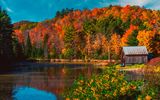 Ontario Herbst