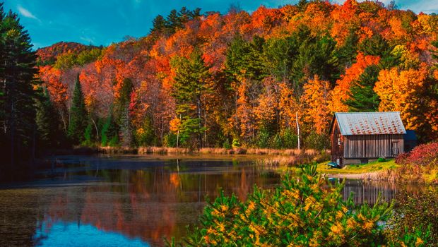Ontario Herbst