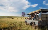 Wildsafari copy