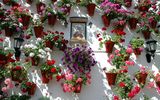 Cordoba, Patio