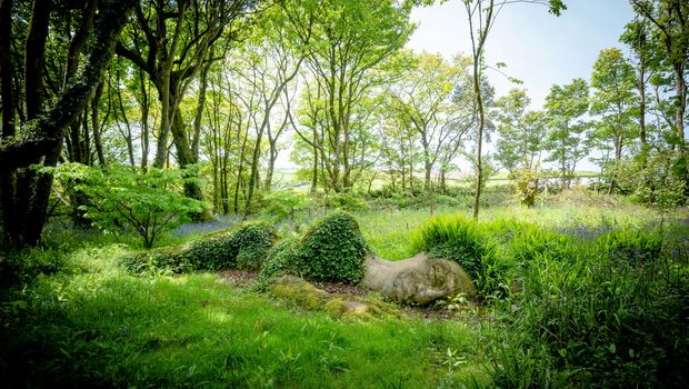 Lost Gardens of Heligan