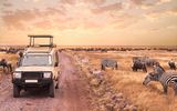 Safari bei Sonnenuntergang