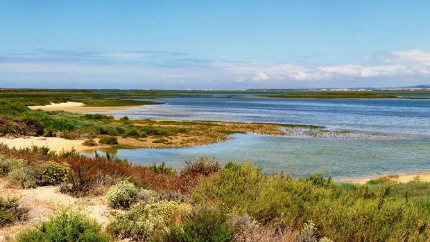 Ria Formosa, Isla Deserta