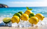 Zitronen auf Eis am Meer