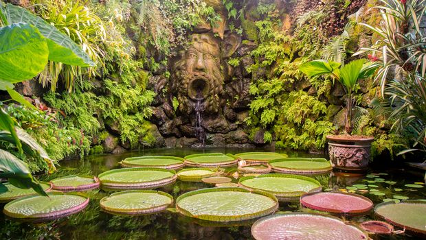 Ischia Forio Garten La Mortella, Victoria-Gewächshaus
