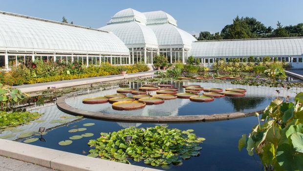 New York Botanical Garden