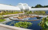 New York Botanical Garden