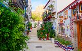 Alicante, bunte und mit Blumen geschmückte Gasse