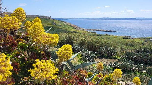 Gozo 