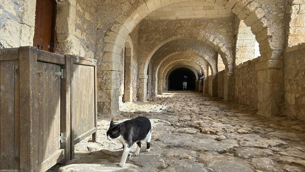 Arkadi-Kloster, Kreta