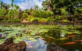 Waimea Valley Park