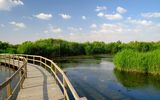 Azraq Wetlands Reserve