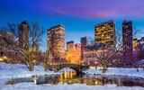 Central Park im Winter
