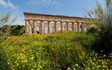 Tempel von Segesta