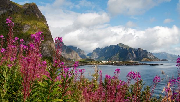 Reine auf den Lofoten