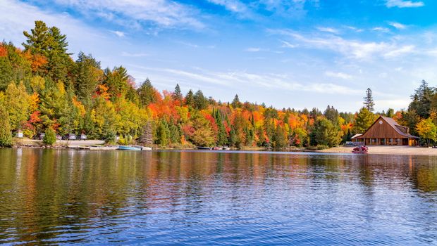 Algonquin Herbst
