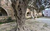 Arkadi-Kloster, Kreta