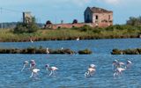Naturreservat Po-Delta